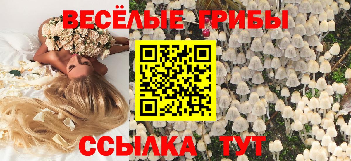 Галлюциногенные грибы MAGIC MUSHROOMS  Вход с VPN  Минусинск 