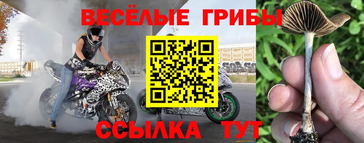 Галлюциногенные грибы прущие грибы Минусинск